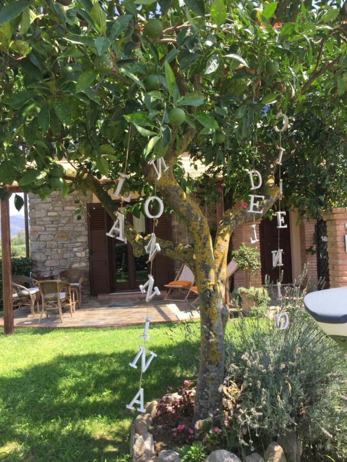 B&B La Nonnina Del Cilento Casal Velino Luaran gambar